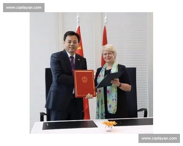 荷兰对阵中国的国际较量透视两国实力与合作前景及未来走向分析展