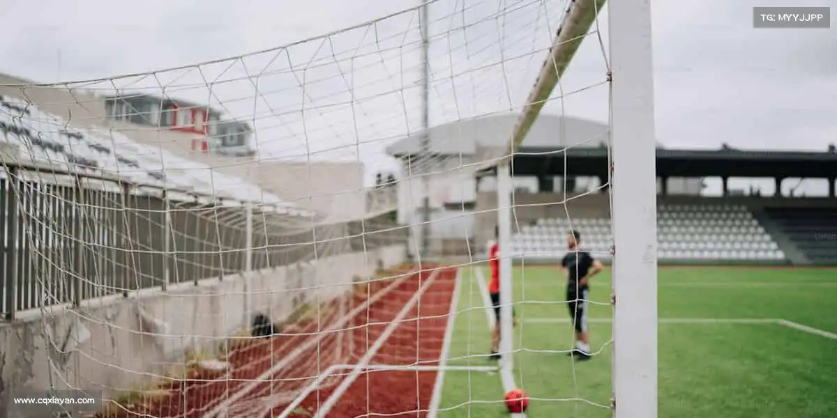 <strong>beats365</strong>无论是清晨的慢跑还是深夜的训练，你的每一份付出都值得喝彩！🌅👏